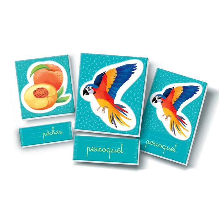 Les Mots en Images – Montessori – CLEMENTONI