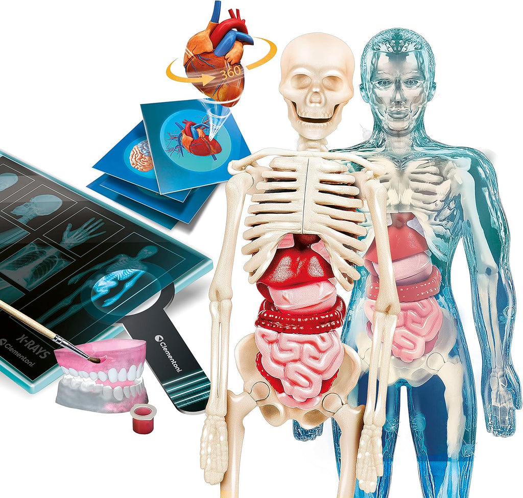 L’Anatomie – Clementoni