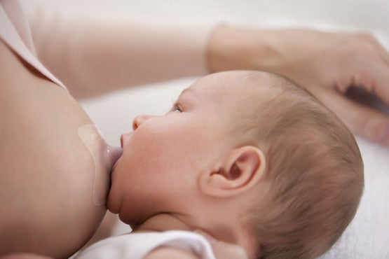 Protège-Mamelons Taille Standard (x2) – Philips Avent
