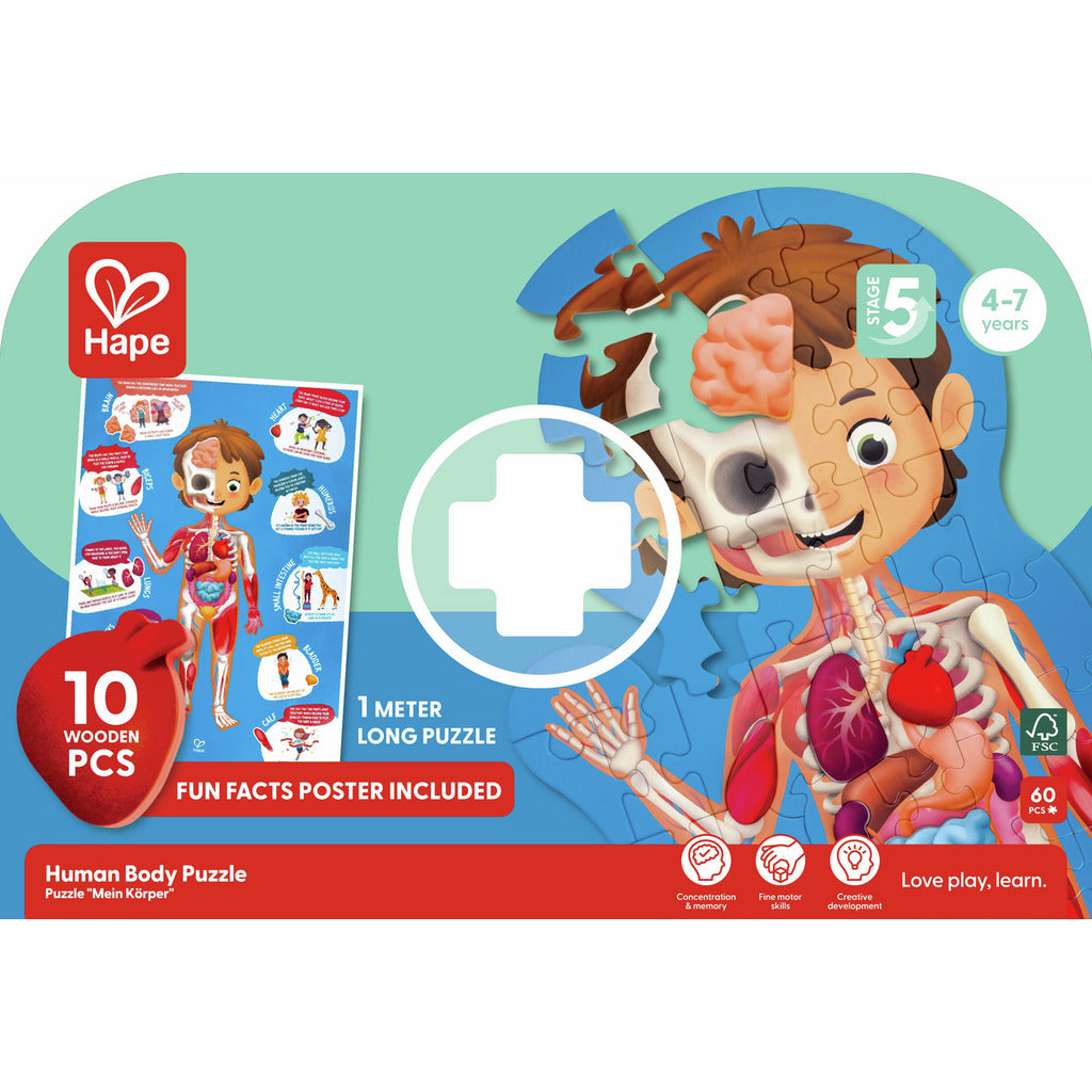 Puzzle corps humain-HAPE