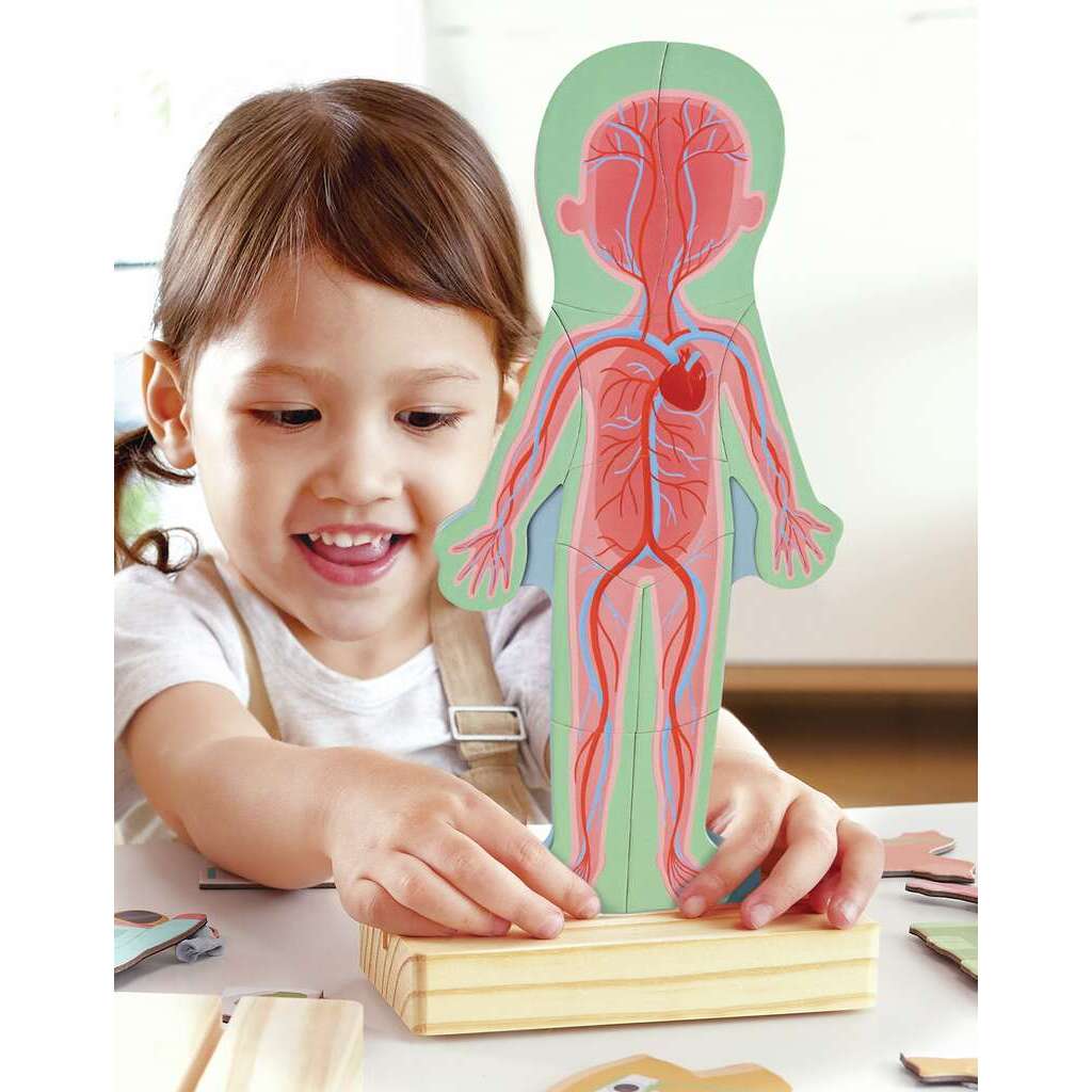 Puzzle magnétique corps humain-HAPE