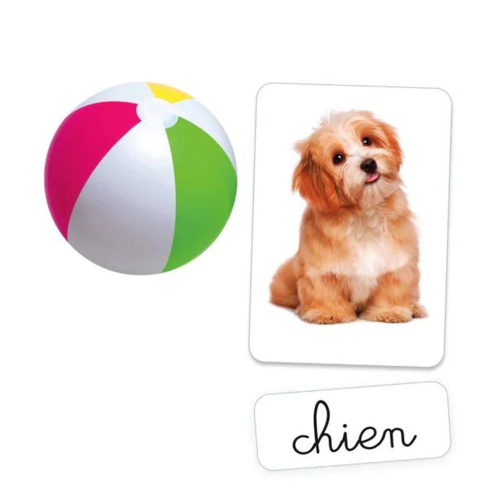 Mes Premiers Mots – CLEMENTONI