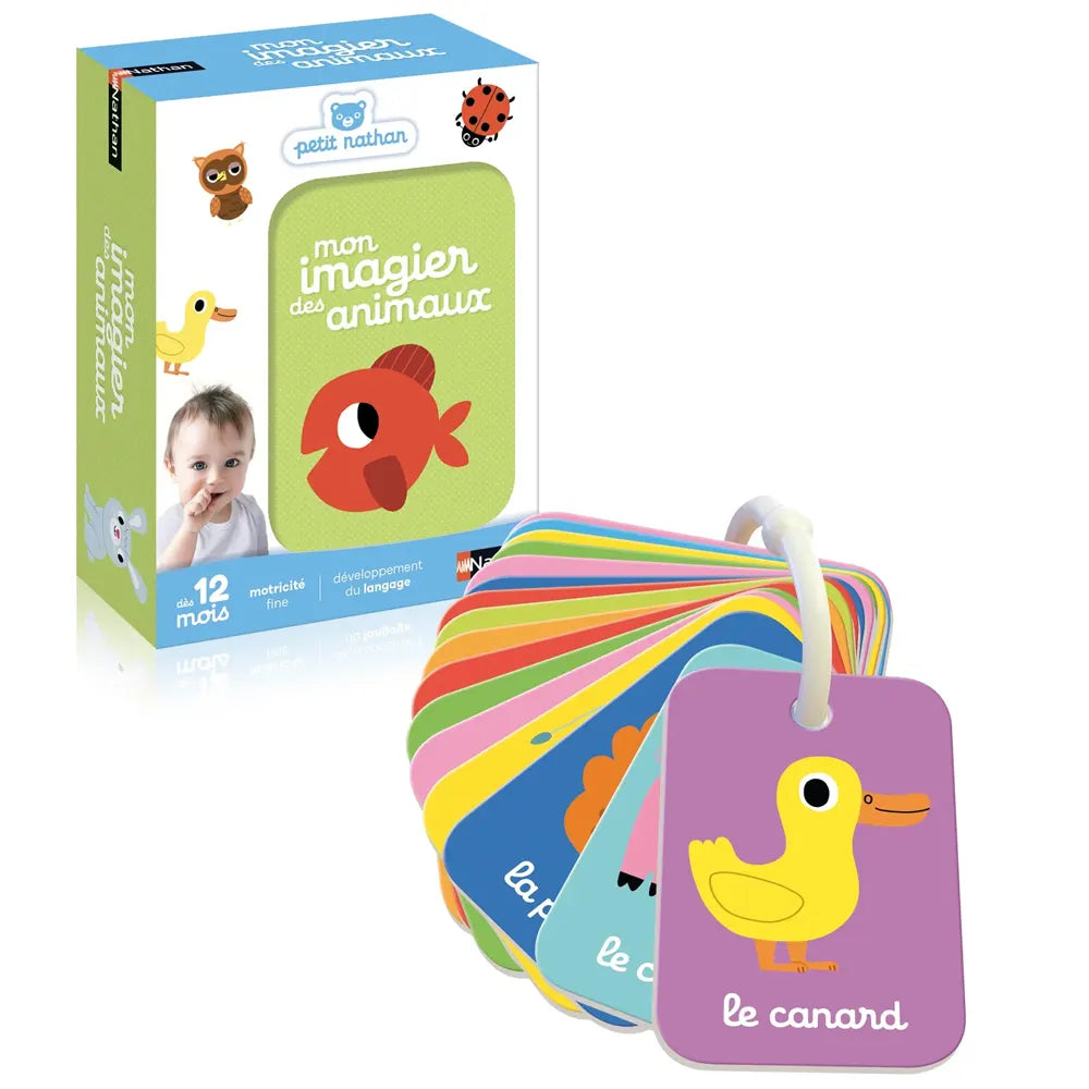 Mon Imagier des Animaux – 12 M+-Nathan