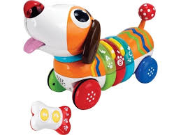 Chien télécommandé avec Os 18 mois+