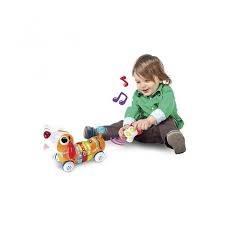 Chien télécommandé avec Os 18 mois+