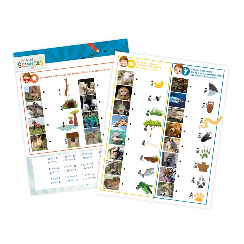 Lanterne 3 en 1 - BUKI