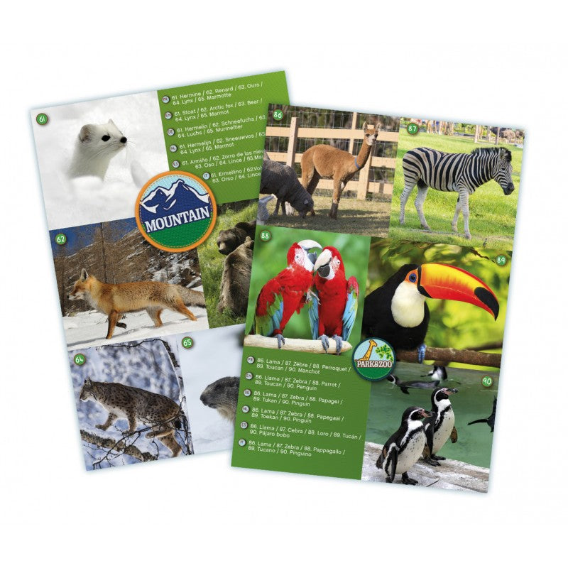 Maxi Jumelles - BUKI