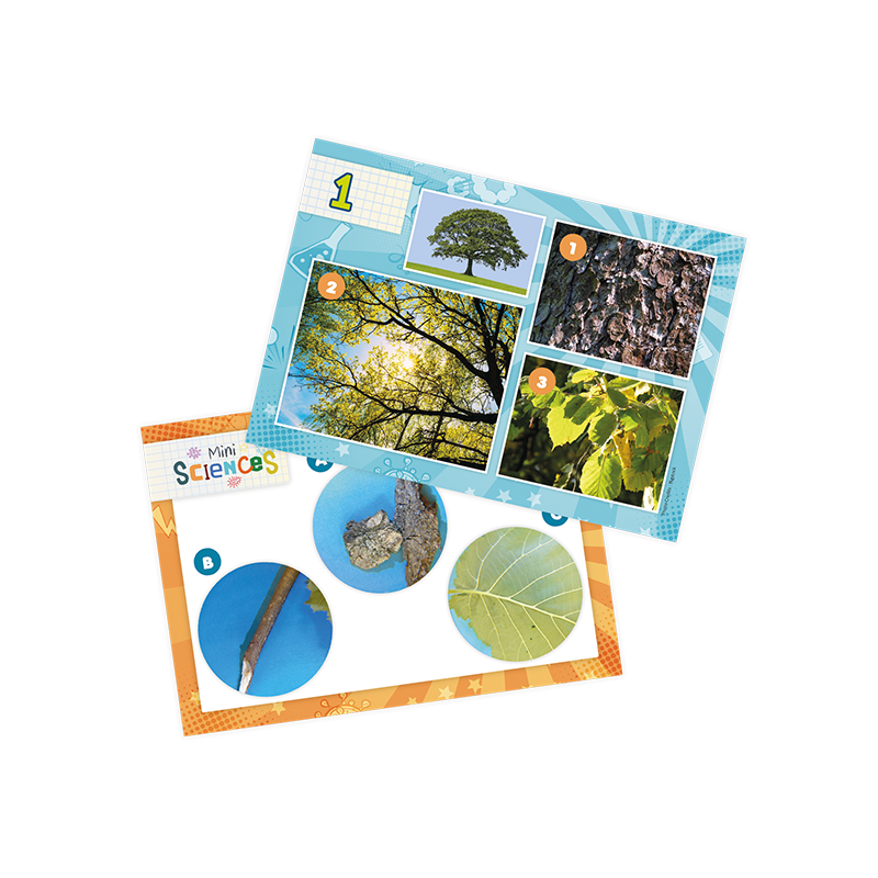 Mini Sciences Microscope - BUKI